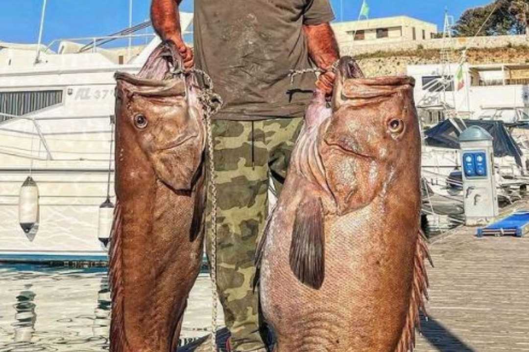 Pesca, catturate a Otranto due cernie giganti per un totale di 74 chili