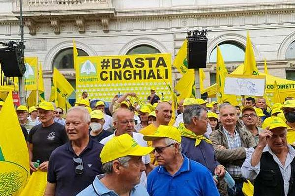 Roma, scatta la protesta degli allevatori contro l’invasione dei cinghiali