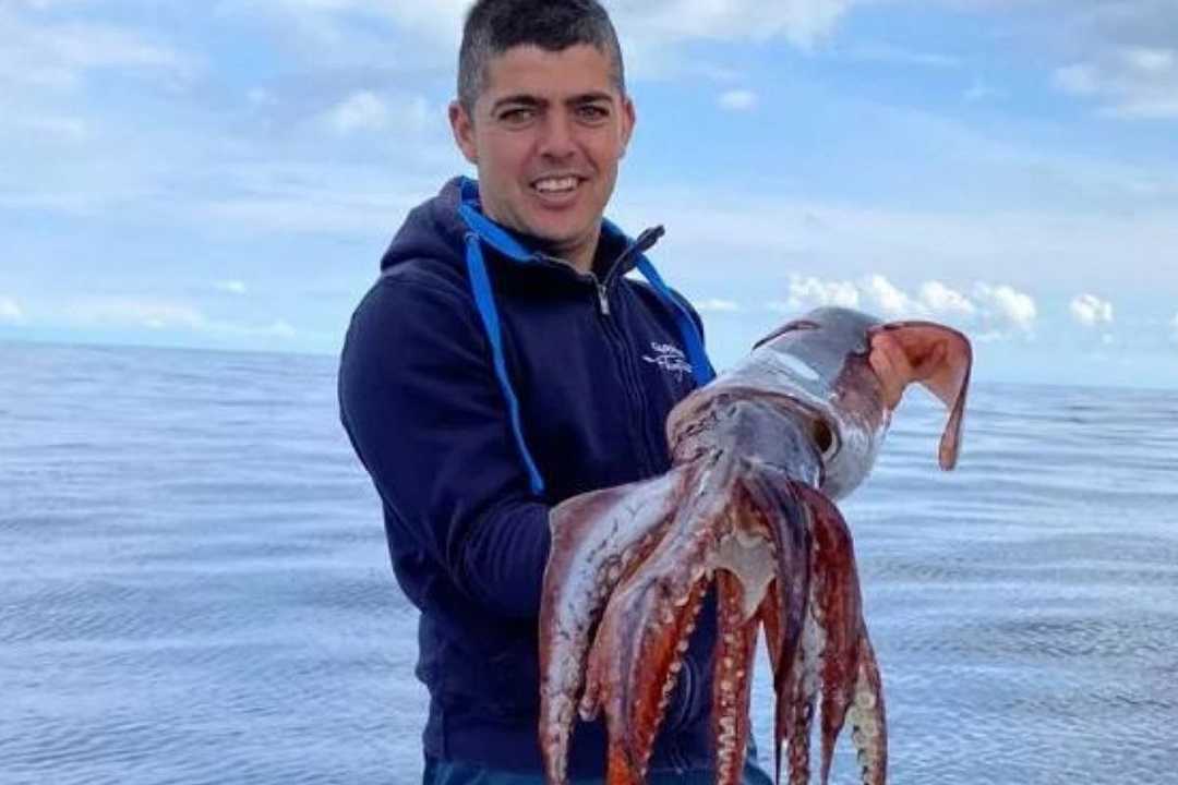 Sardegna, pesca da record al largo di Punta Scorno: catturato un totano da 9 kg
