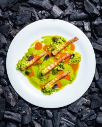 Bistrot-bio-Roma