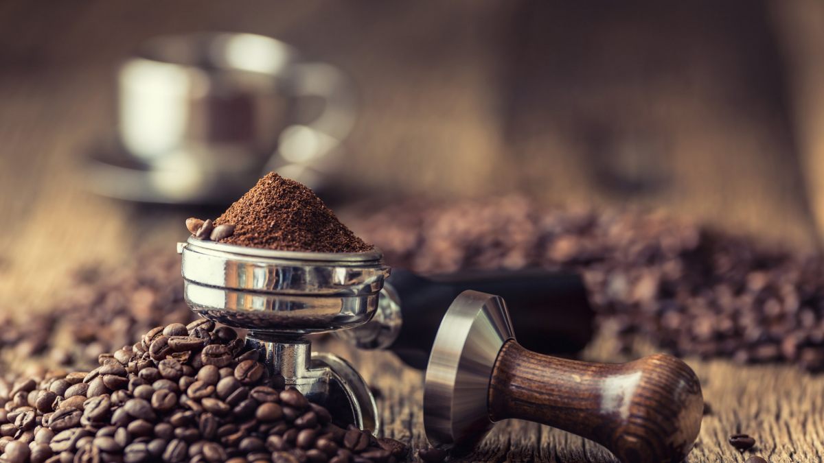 Guida dei caffè e delle torrefazioni d'Italia_debutta Camaleonte con la prima edizione