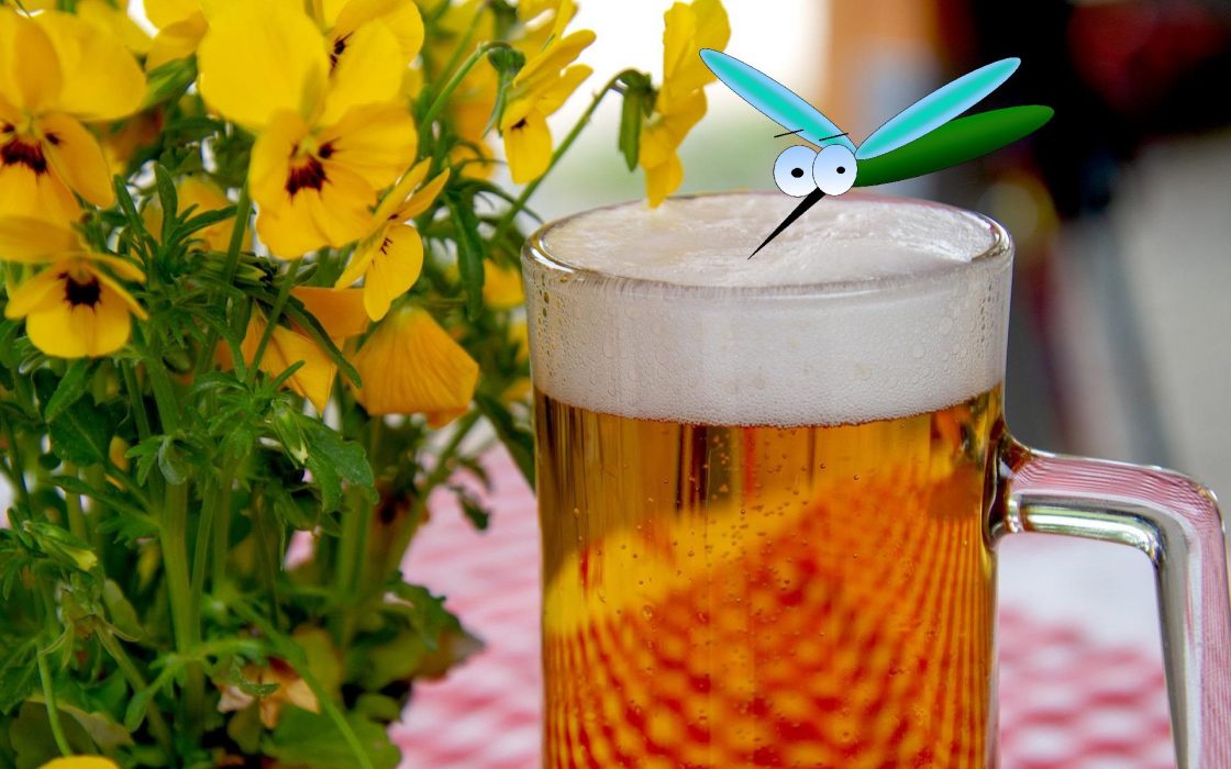 Birra zanzara