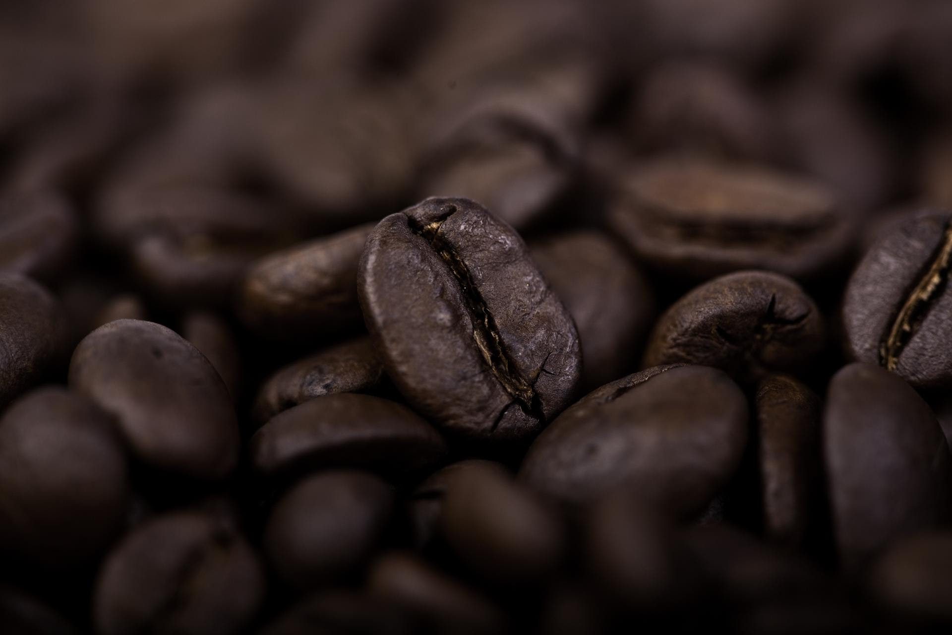 caffè milani