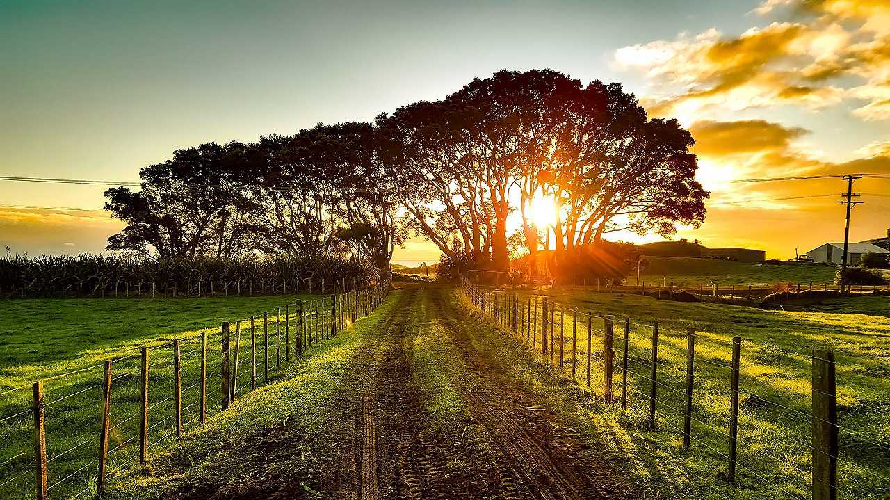 Nuova Zelanda: gli agricoltori chiedono di imporre un prezzo per le emissioni di gas serra