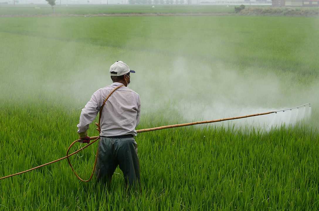Pesticidi: la missione dell’UE è quella di dimezzarne l’uso entro il 2030