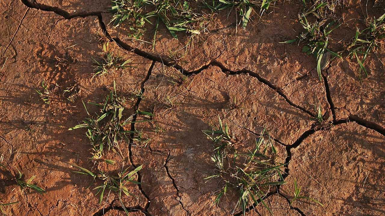 Siccità, in Puglia scatta la fase di pre-allarme: manca l’acqua per l’agricoltura