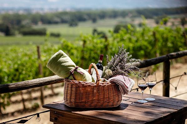 Pic Nic in vigna: 8 destinazioni in Italia per veri bucolici