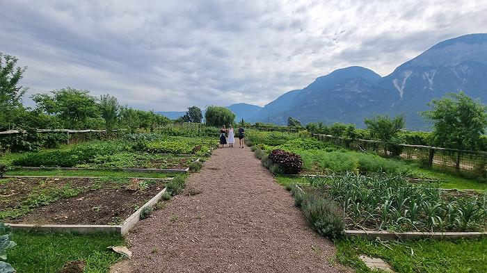 In Alto Adige abbiamo cercato di capire se un orto può davvero sostenere un intero ristorante