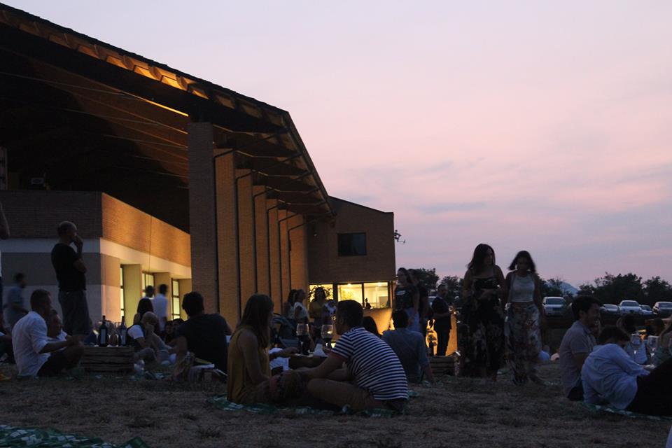 Monte delle Vigne