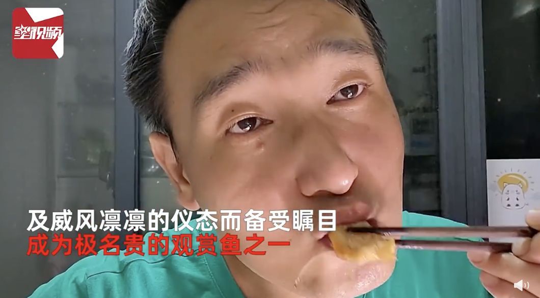 Cina, un uomo cucina e mangia il suo animale domestico: era un arowana argentato