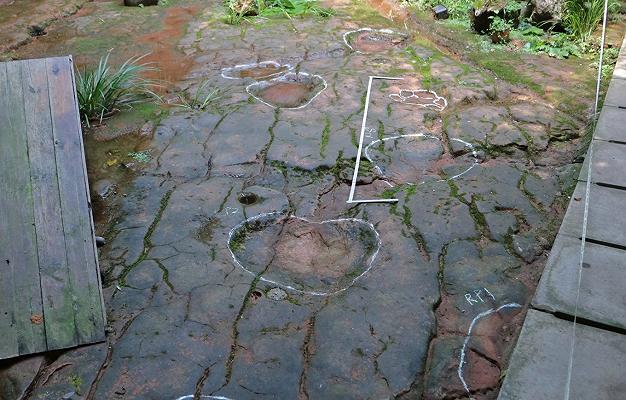 Cina: trovate le orme di un dinosauro nel cortile di un ristorante