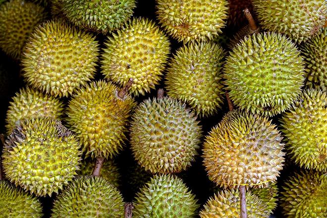 durian