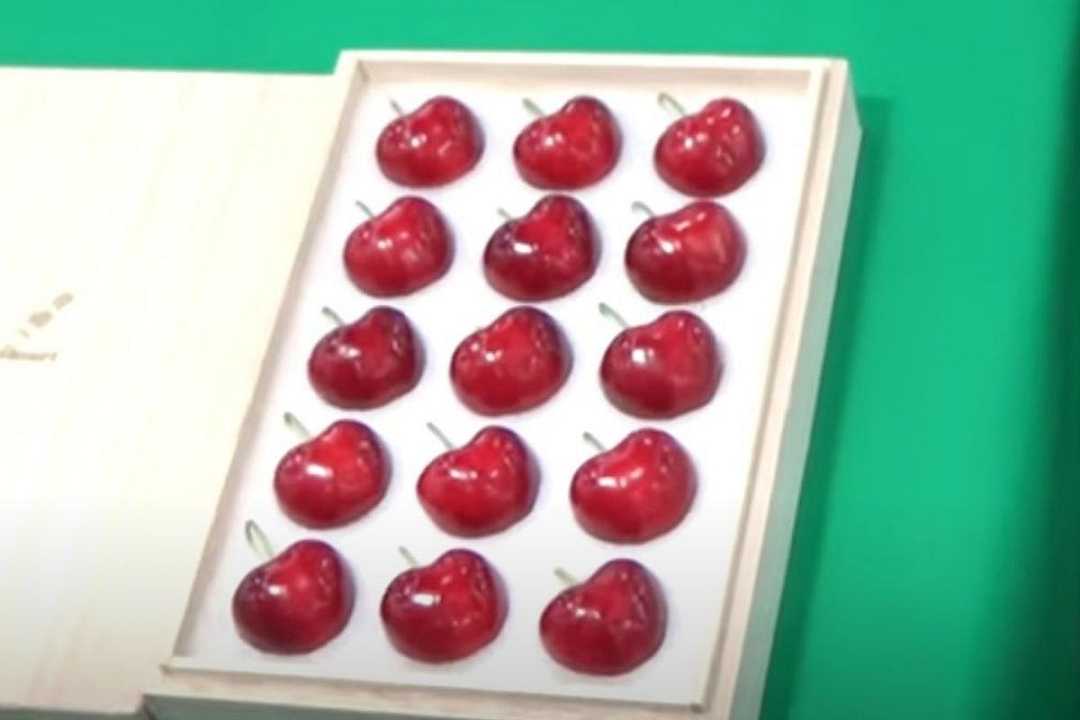 Giappone, una ciliegia viene venduta all’asta per circa 300 euro