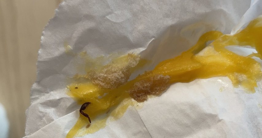 McDonald's russo insetti