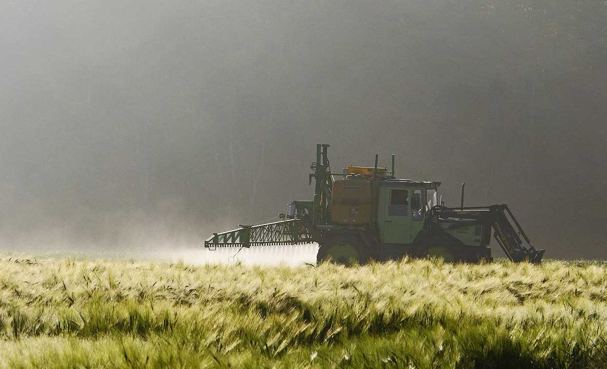 Pesticidi illegali in aumento in Italia e UE: sequestrate 1.150 tonnellate di fitofarmaci