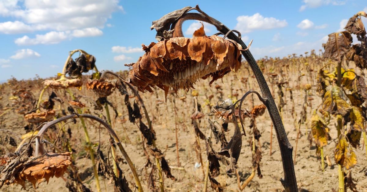 Seca, Portugal aumenta preços da água e suspende limpeza de ruas