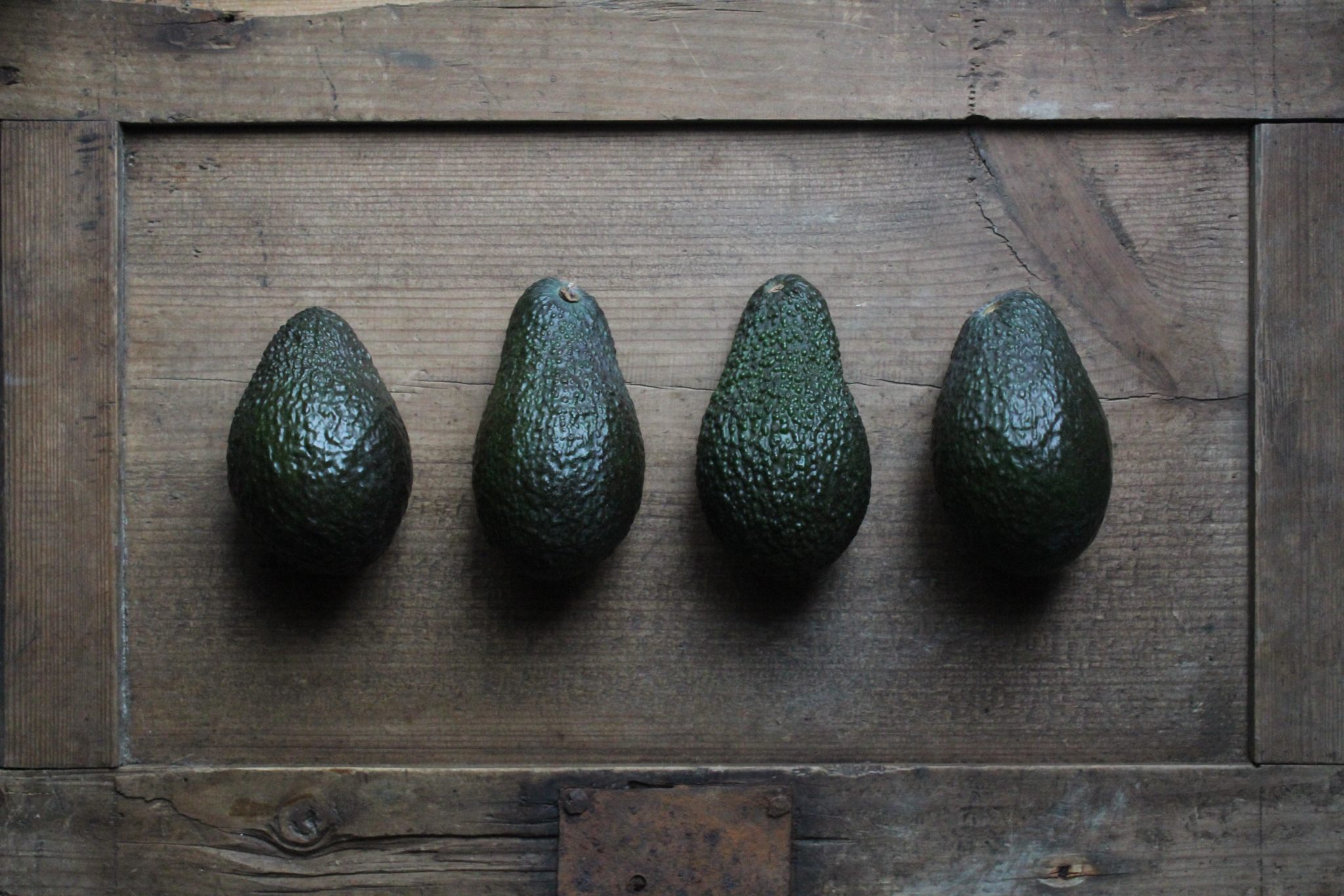 avocado maturo