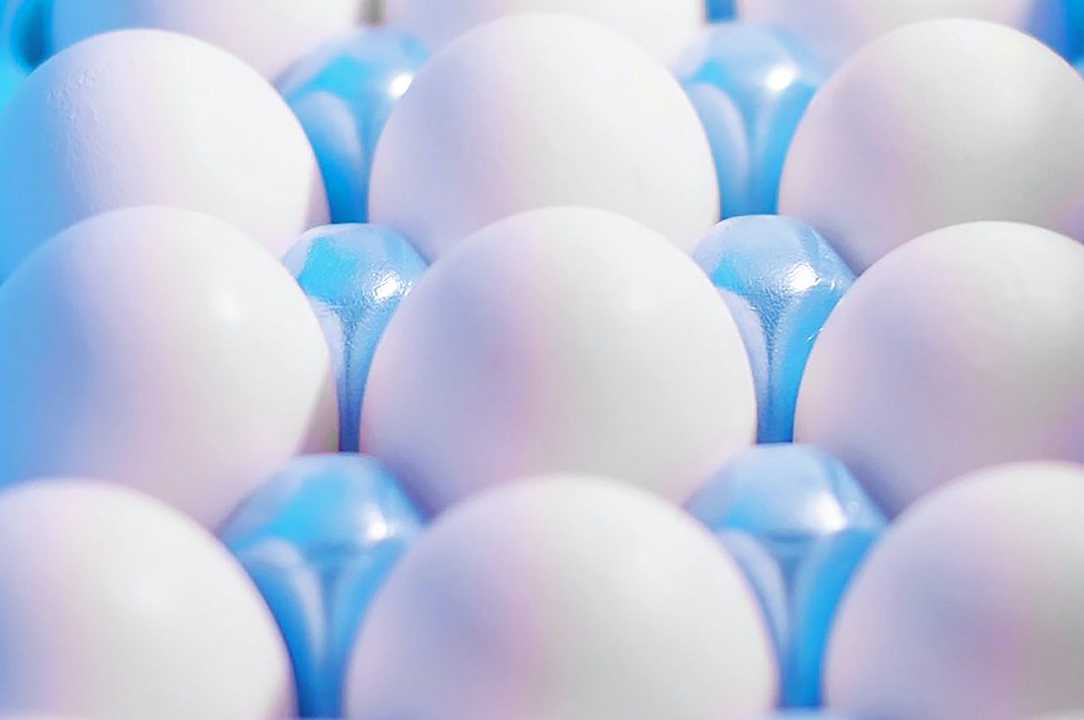Come conservare le uova (e come non conservarle)
