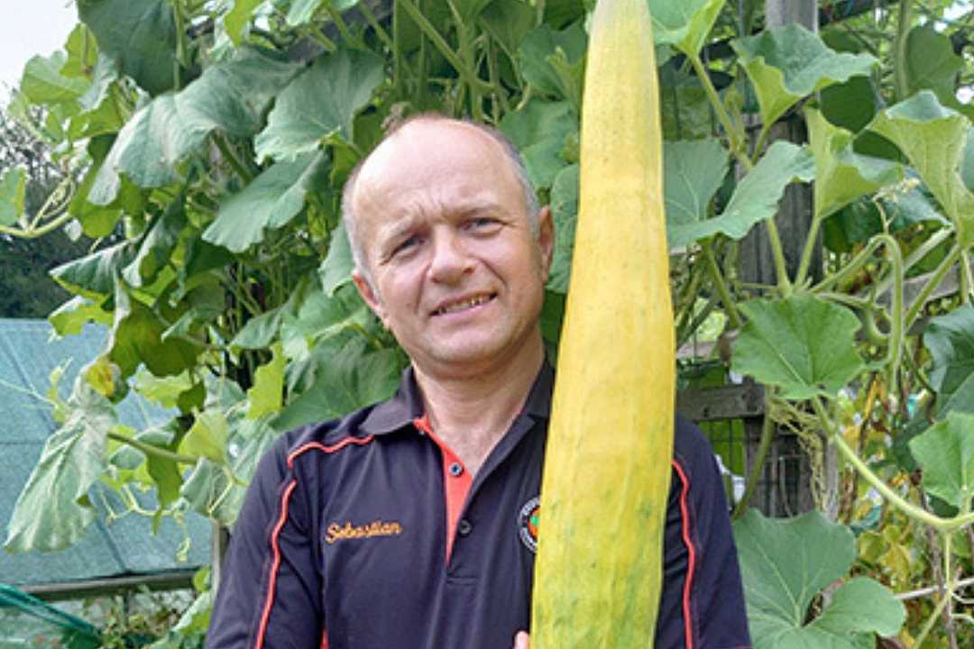 Regno Unito, un cetriolo di 113 cm entra nel Guinness World Record: è il più grande al mondo