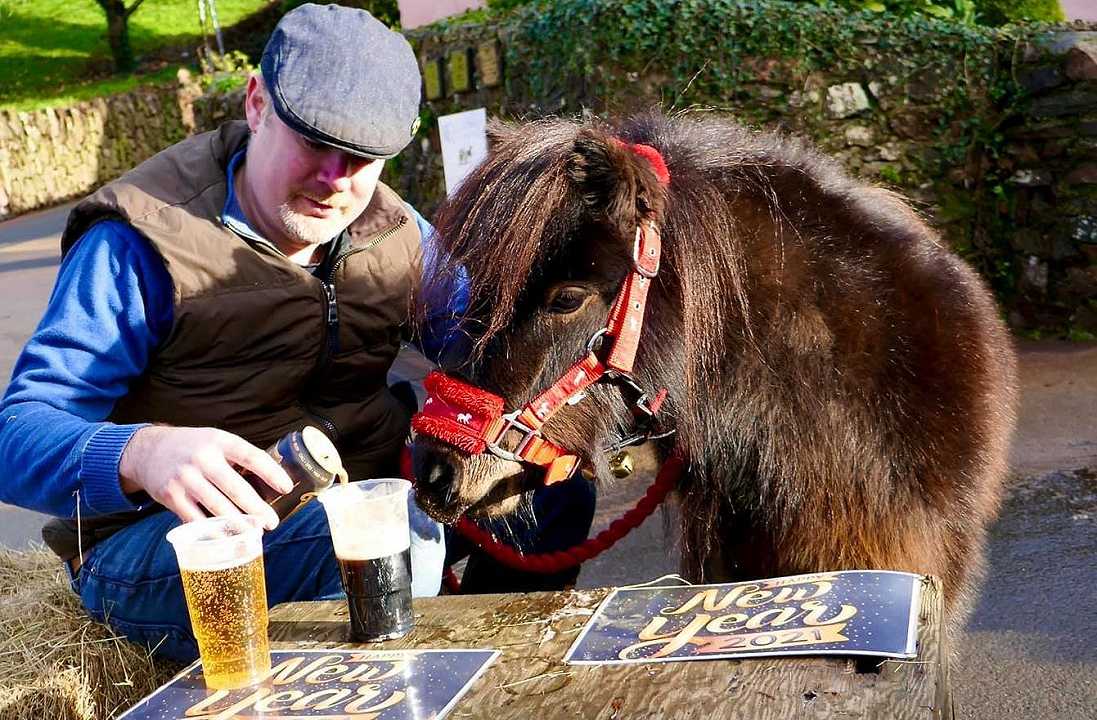 UK: il pony Patrick non potrà più entrare nel suo pub preferito