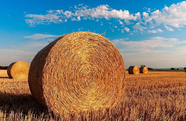 Carmagnola: 700 rotoballe di orzo e fieno a fuoco in due cascine, non si esclude il dolo