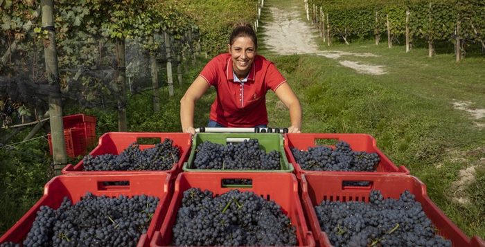 Vino, la barolista Sara Vezza unica italiana tra le migliori vigne biologiche europee