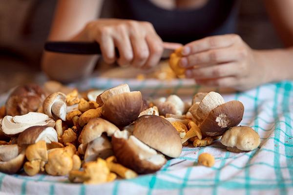 Peste suina, per la raccolta di funghi in zona rossa servirà il permesso della Regione