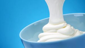 yogurt greco in tazza