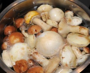 funghi a bollire in acqua e aceto