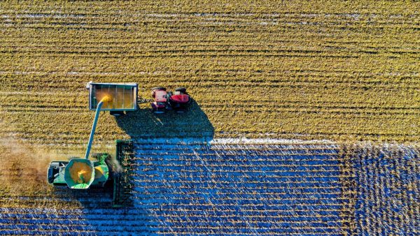 agricoltura