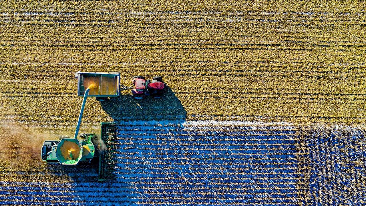 Agricoltura, riprende la compravendita di terreni e vigneti (+30%), ma l’inflazione preoccupa