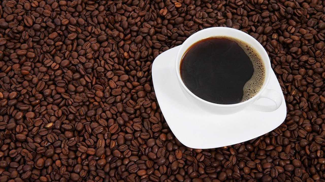 Caffè, Nestlé investe un miliardo di franchi svizzeri in agricoltura rigenerativa
