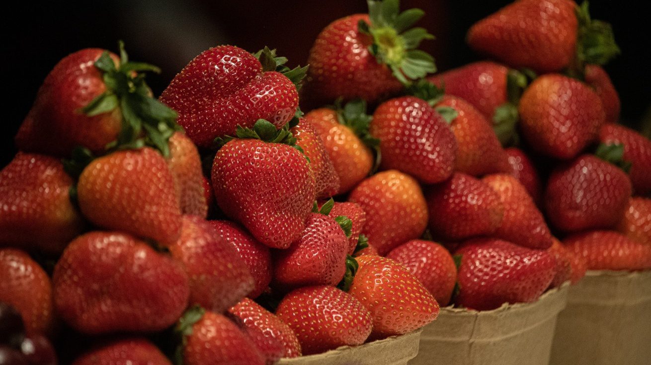 Fragole Quelle Impollinate Da Api Che Hanno Ingerito Pesticidi Sono 