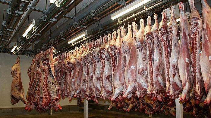 Carne: gli scarti della macellazione usati come biocarburanti? Ma cani e gatti cosa mangeranno?