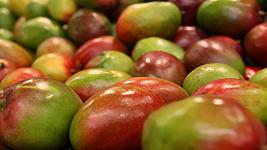 Come la frutta tropicale calabrese diventa una linea di liquori