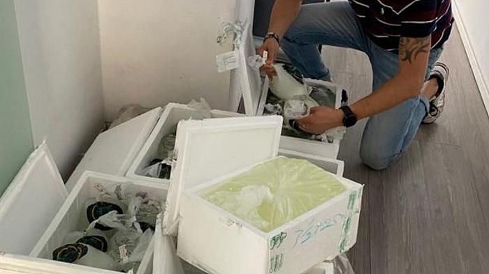 Mozzarella di Bufala Campana falsa a Milano: il sequestro della task force della DOP