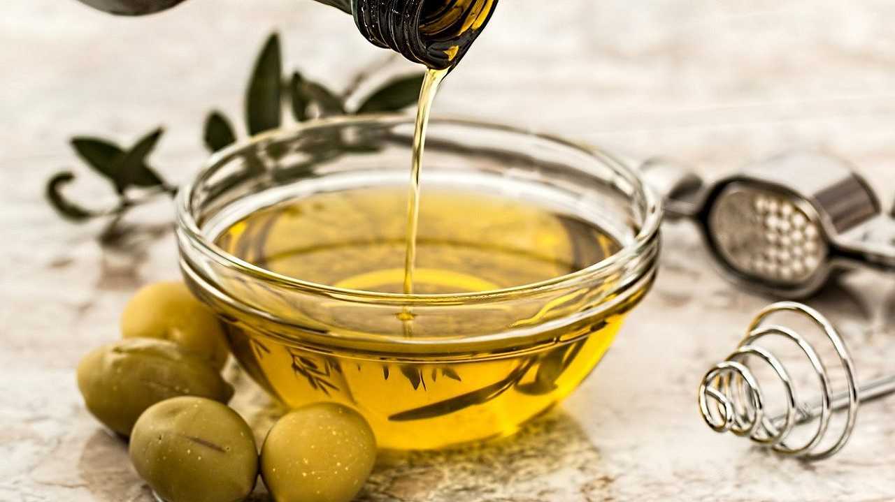 Toscana, l’olio d’oliva “rimonta” la siccità: produzione in aumento del 10% su base annua