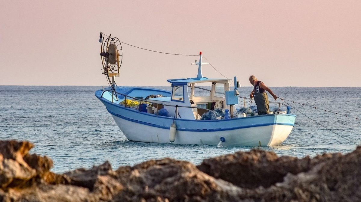 pesca