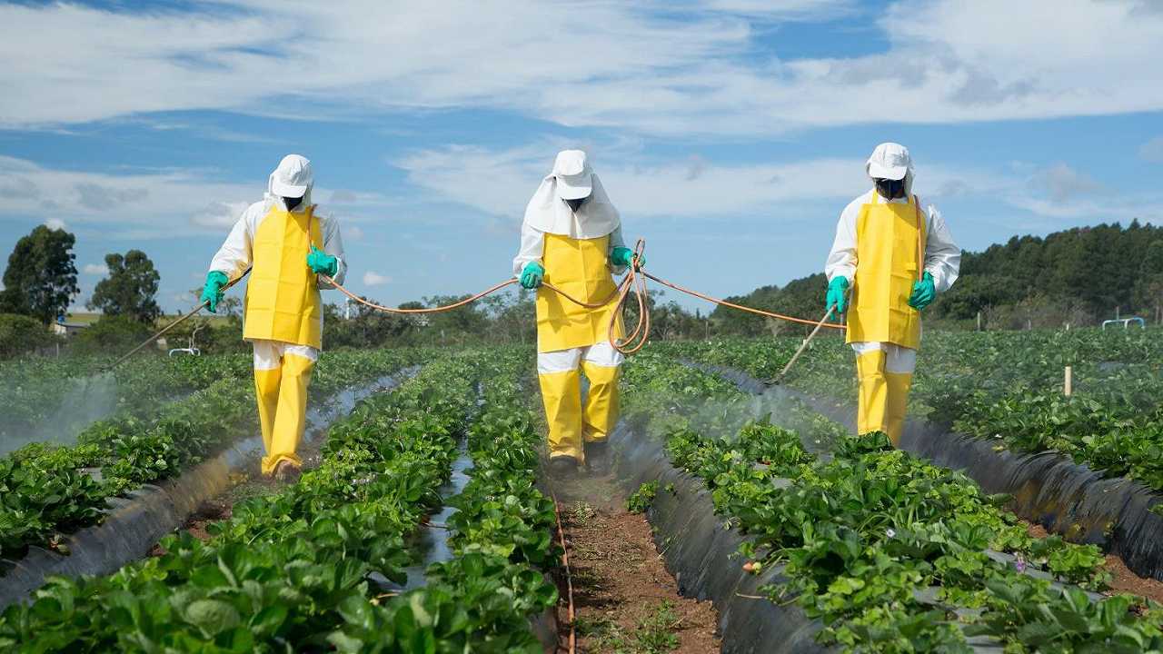 Pesticidi: in Europa il 30% sono autorizzati senza una valutazione definitiva del rischio