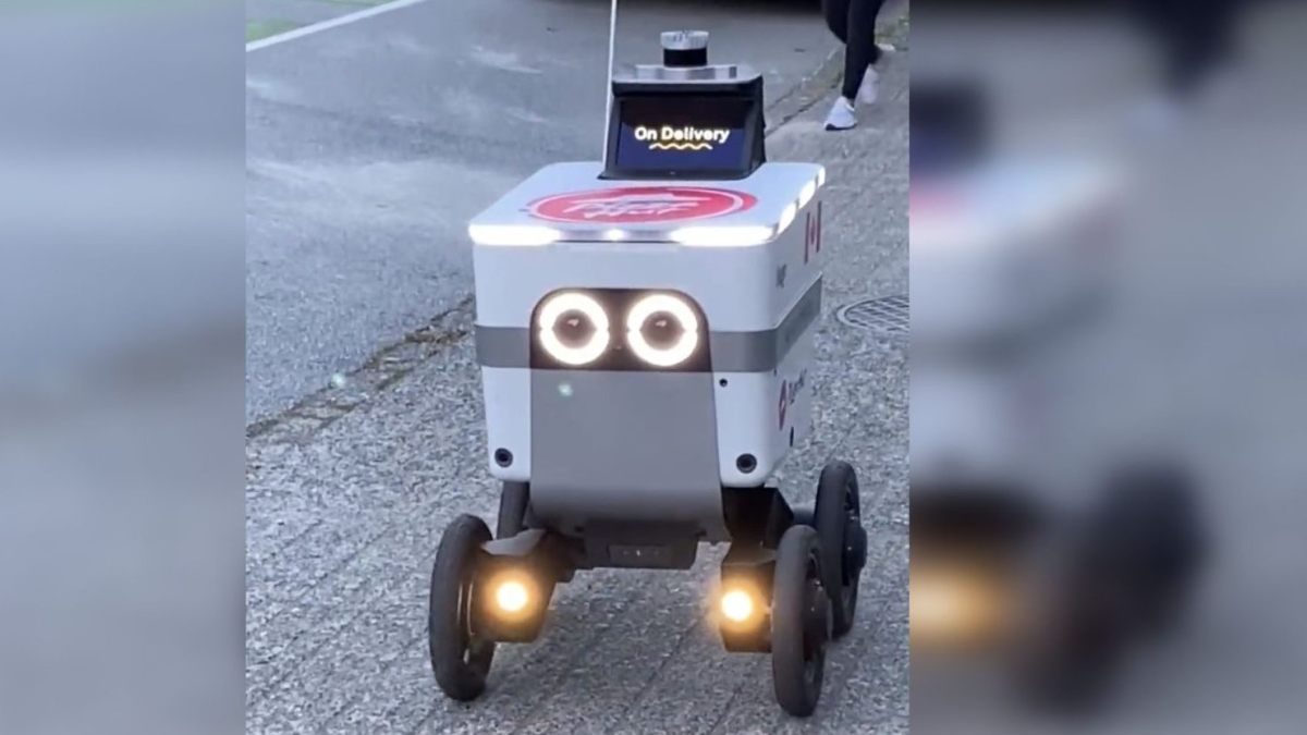pizza hut robot