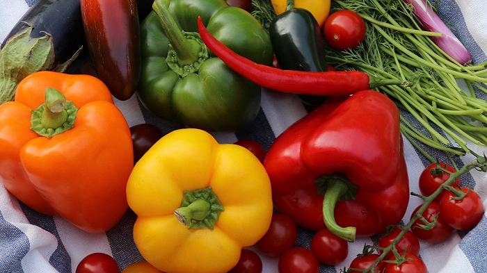 Biologico, vola l’agroalimentare italiano sui mercati internazionali: +16% su base annua