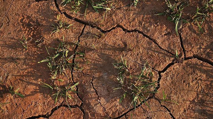 Il cambiamento climatico rovina l’agricoltura: forse ora diventerà una priorità?