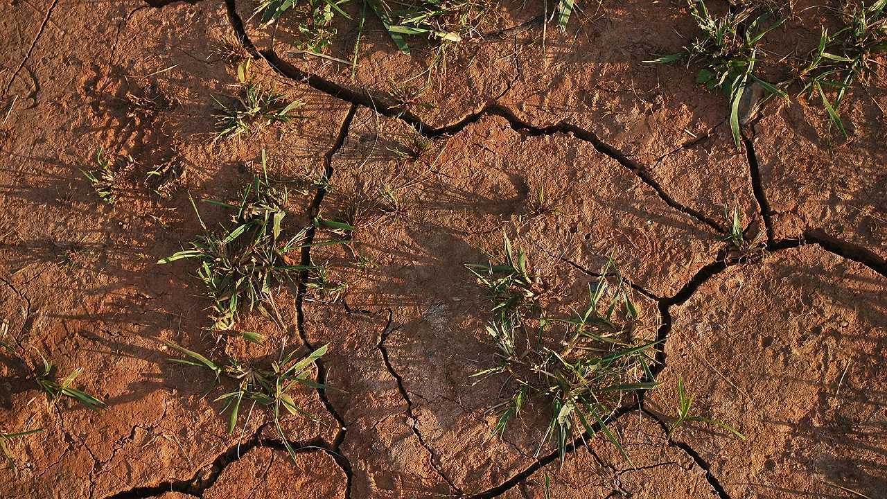 Argentina, l’incubo siccità è quasi finito: previste piogge abbondanti