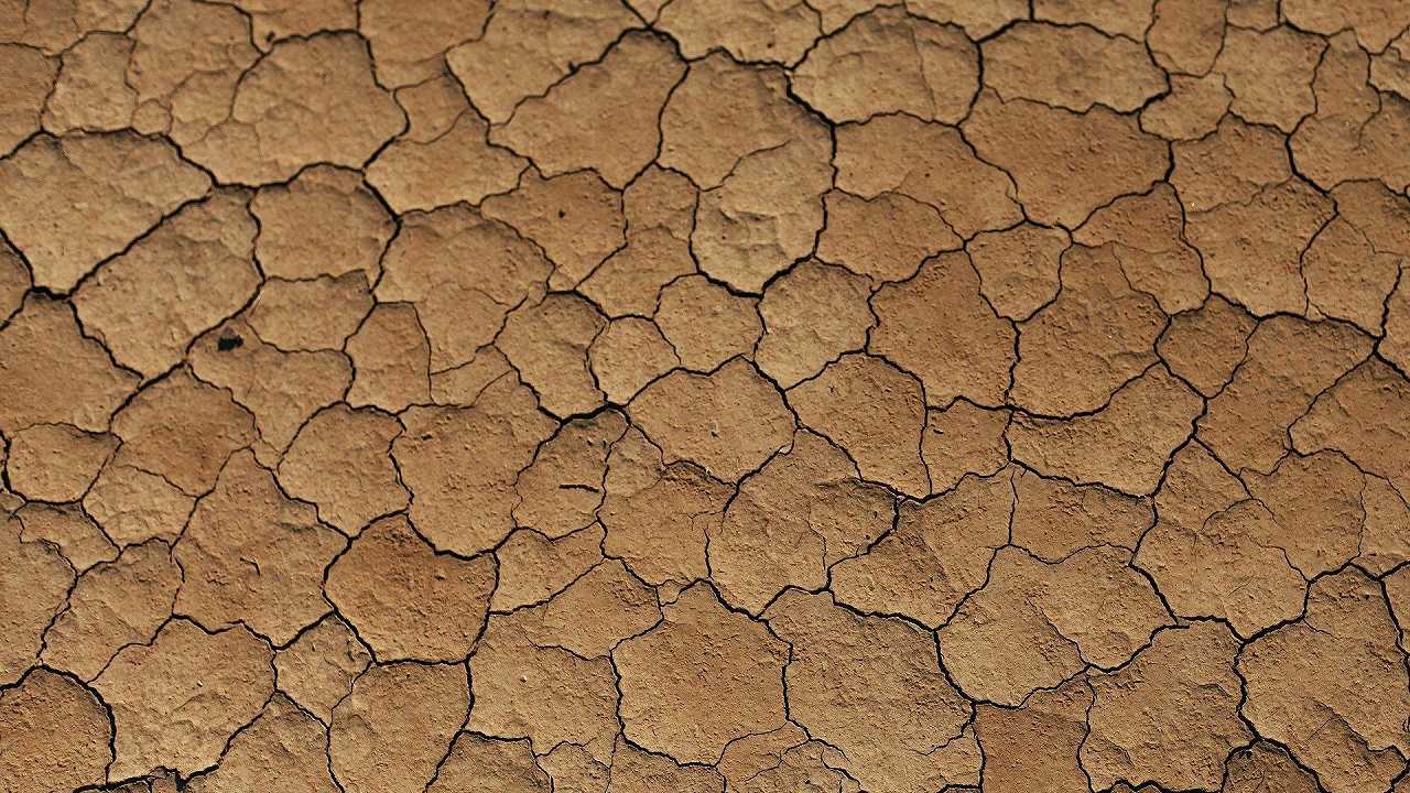 COP27, i delegati toccano con mano la siccità: non c’è acqua per loro a Sharm el-Sheikh