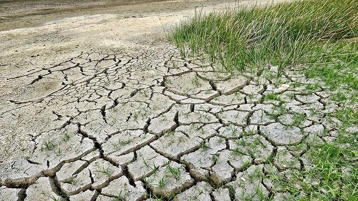 Siccità: la Francia è sulla strada per una crisi estiva peggiore a quella del 2022
