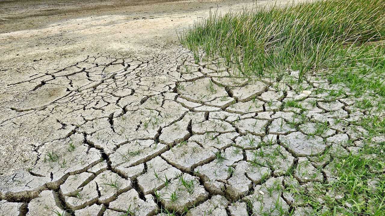 Argentina, è la siccità peggiore degli ultimi 30 anni: bloccata la semina del mais