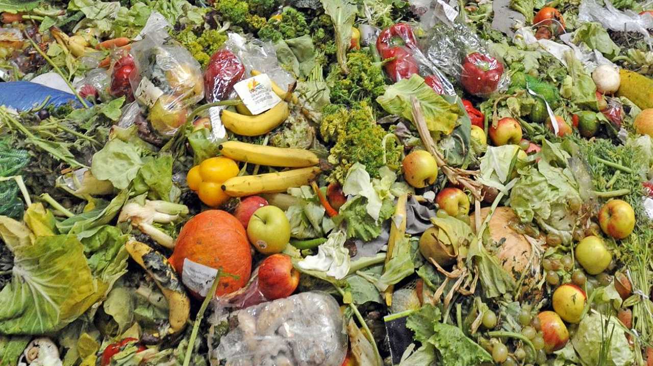 Spreco alimentare: in Italia ogni famiglia spreca 20 kg di cibo all’anno