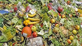 Spreco alimentare: in Italia ogni famiglia spreca 20 kg di cibo all’anno