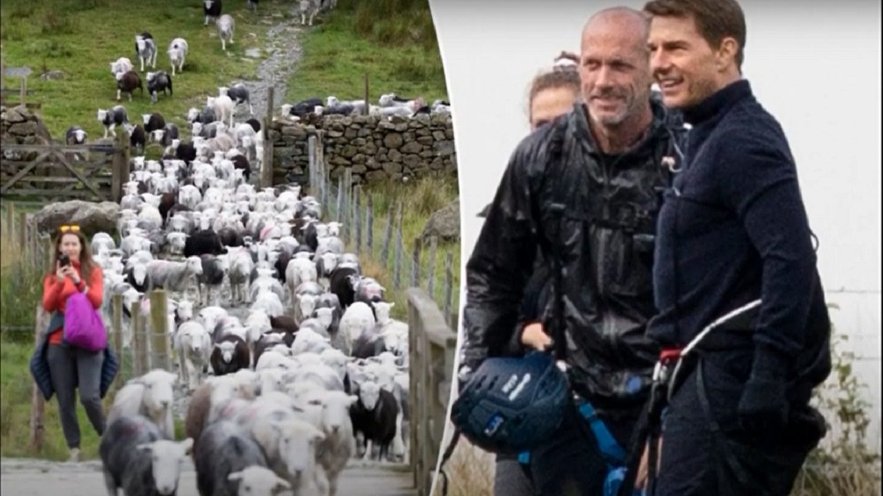 UK: Tom Cruise sorride benevolo al gregge di pecore che invade il set di Mission: Impossibile 8