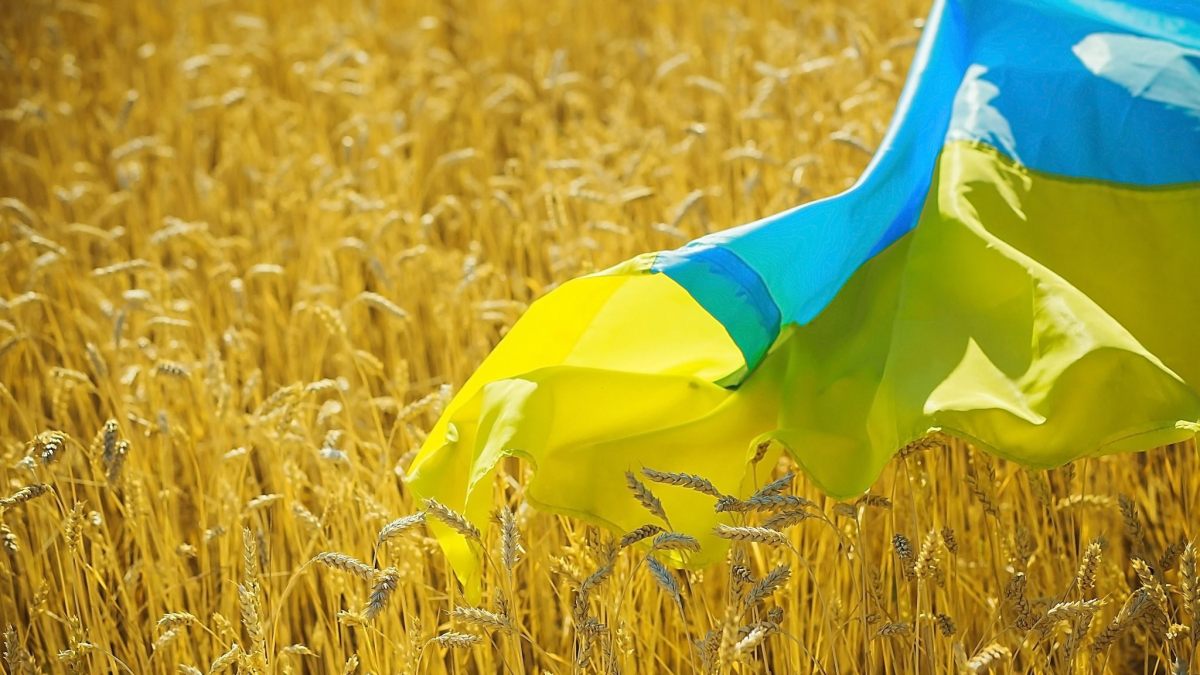 ucraina grano